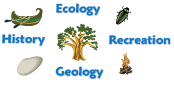 eco logo